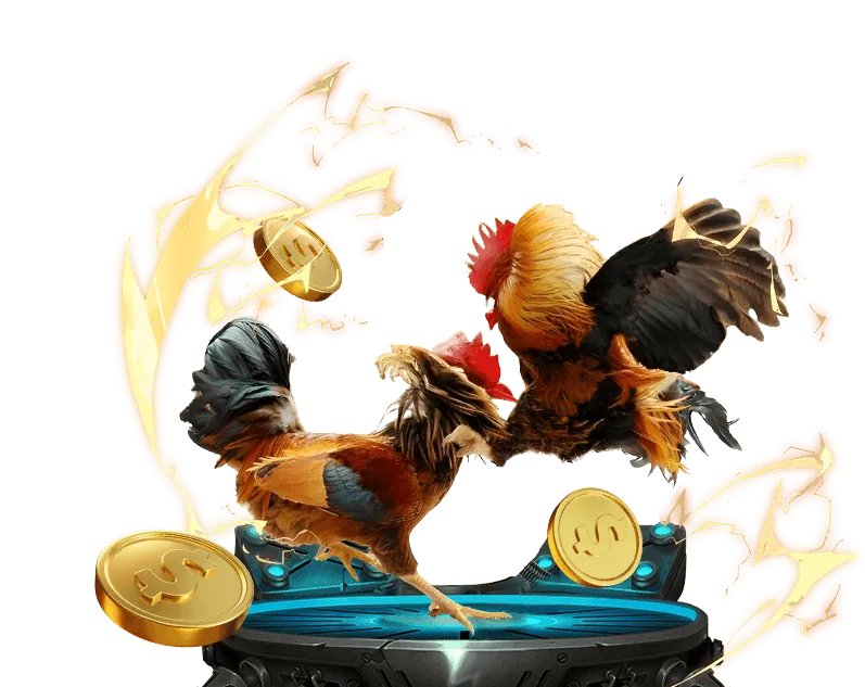 Ưu đãi chào mừng lixi 88