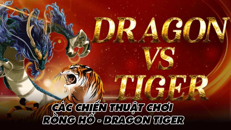 Các chiến thuật chơi Rồng hổ - Dragon Tiger  