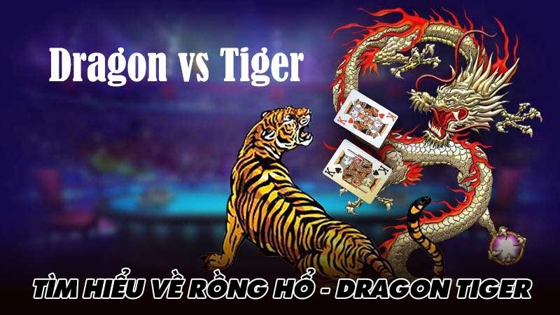 Tìm hiểu về Rồng hổ - Dragon Tiger