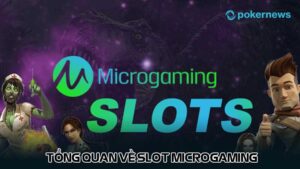Tổng quan về Slot Microgaming